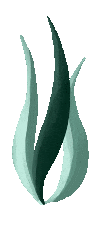 Deep Dive Gesichtspflege Sticker by pandoo