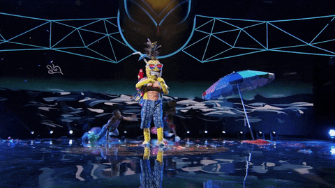 fox tv GIF by The Masked Singer