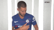 Premier League Celebration GIF by BT Sport