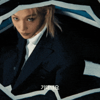 Stray Kids Skz GIF