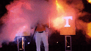 Baseball Hype GIF by NCAA Championships