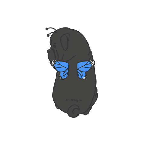 Black Dog Butterfly GIF
