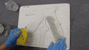 chair egypt GIF by Harvard University
