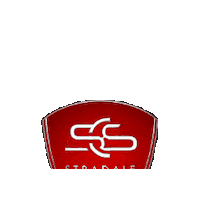 stradalecarservice scs stradale Sticker