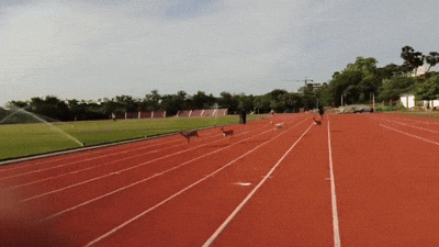 U-uuu giphyupload GIF