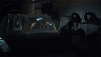 van helsing vampires GIF by SYFY