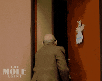 Spying Open Door GIF by Madman Films