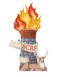 DelawareRenaissanceFaire fantasy medieval renaissance fae Sticker