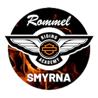 Travel Bike Sticker by Rommel Harley-Davidson