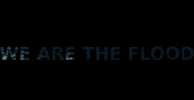 We Are The Flood GIF by STEFANO CAGOL