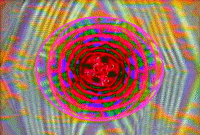 Pink Colors GIF by The Griffith Absurdatory