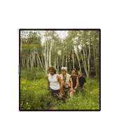 themossband cd indie music the moss the moss band Sticker