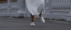 Happy France GIF by Casol