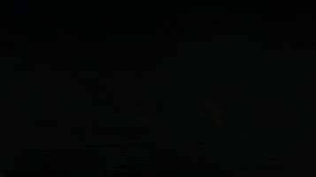 apocalypse now beauty GIF by Maudit