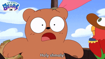 Holy Shmoly | We Baby Bears