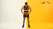 Rory Sloane Celebration GIF by Adelaide Crows