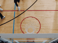getKOHO basketball nba team canada GIF