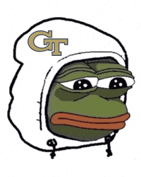 Sad Georgia Tech GIF
