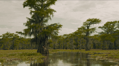 yewknee giphyupload music video bayou caddo lake GIF