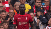 Premier League Reaction GIF by MolaTV