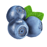 Risifrutti blueberry marja risifrutti välipala Sticker