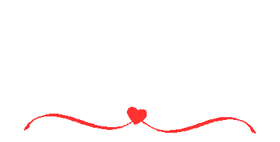 Dia Da Mulher Sticker