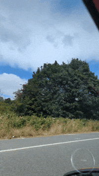 Bristol GIF by Stella 52