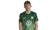 Football Sticker Sticker by VfL Wolfsburg
