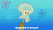 season 9 sanctuary GIF by SpongeBob SquarePants