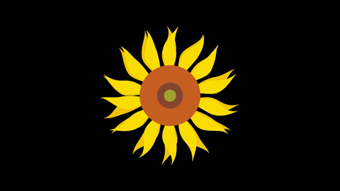 IRCSS giphyupload flowers maths shaders GIF