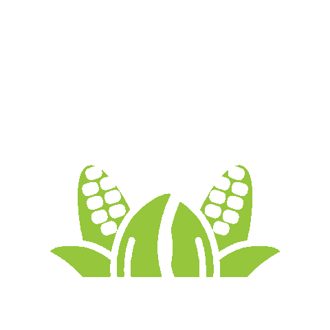 ilcorn giphygifmaker corn farming illinois Sticker