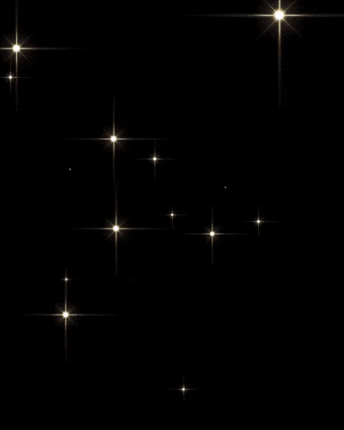 Dudinw leon wilkeson GIF