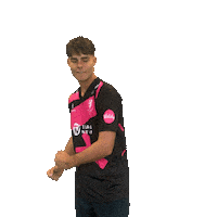 Celebration Ball Sticker by Somerset County Cricket Club