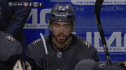 ice hockey no GIF by NHL