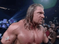 triple h wrestling GIF by WWE