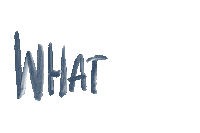 What Am I Sticker by Why Don't We