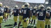 College Football Dancing GIF by Notre Dame Fighting Irish