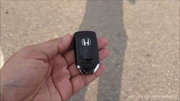 Driving Lets Go GIF by Namaste Car