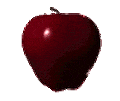 pen pineapple apple pen images STICKER