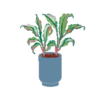 Spider Plant Sticker by Apartment Therapy