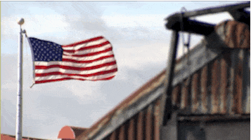 american flag GIF by Bustle