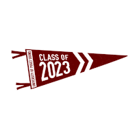 Puget Sound Ups Sticker by University of Puget Sound