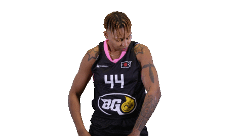 Basketball Hoops Sticker by Basket_fi