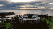 Hilton Grand Vacations Ocean GIF by HGVSocial