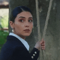 Rojbinerden GIF
