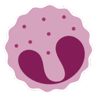 Eosinophil Sticker by APFED