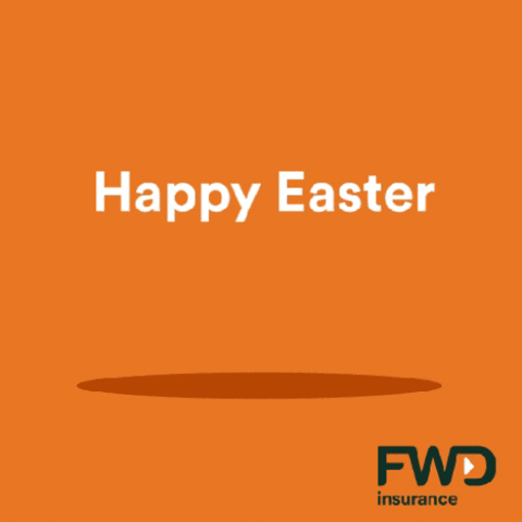 Bunny Rabbit GIF by FWD Insurance