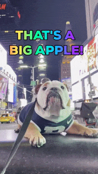 Happy New York GIF by Butler University