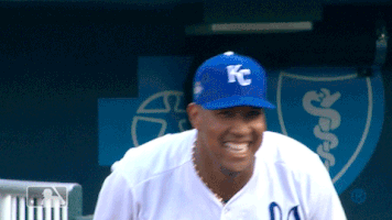 shimmy GIF by MLB