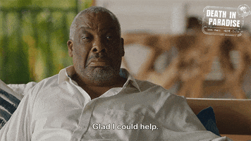 Commissioner Patterson GIF by Death In Paradise